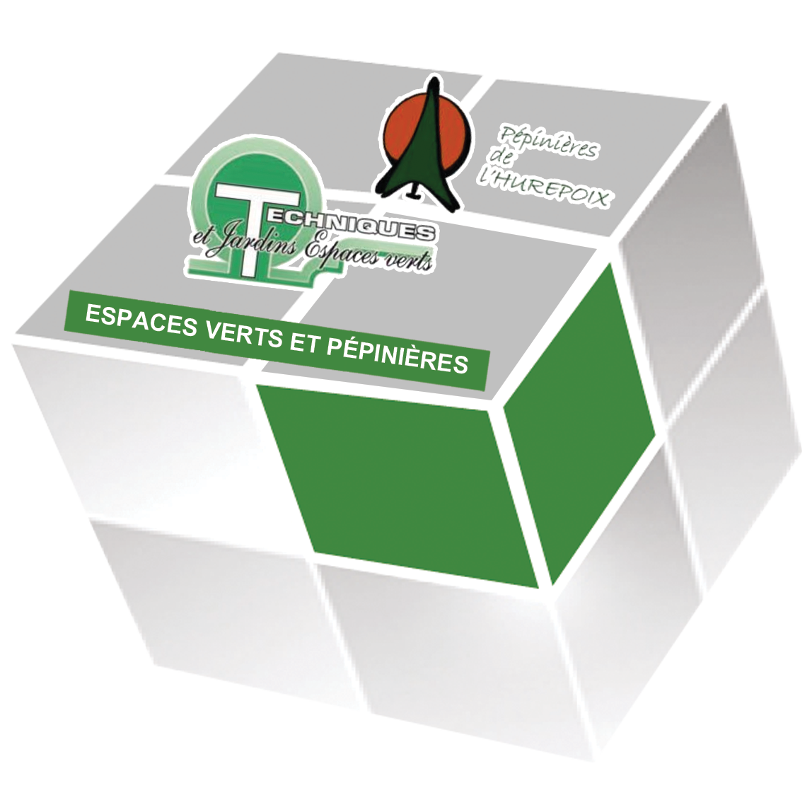 Groupe Vision Globale