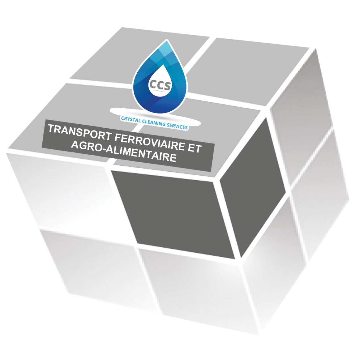 Groupe Vision Globale