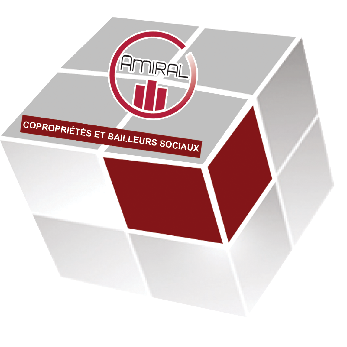 Groupe Vision Globale